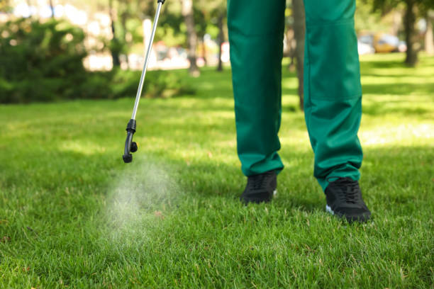 Best Commercial Pest Control Services  in Meadview, AZ