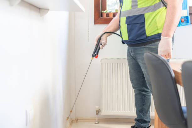 Best Rat Extermination Near Me  in Meadview, AZ