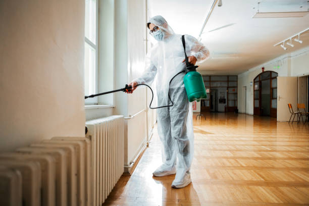 Best Flea Control Services  in Meadview, AZ